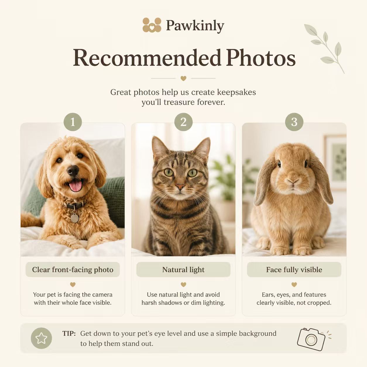 Milo always with me Pawkinly keepsake example
