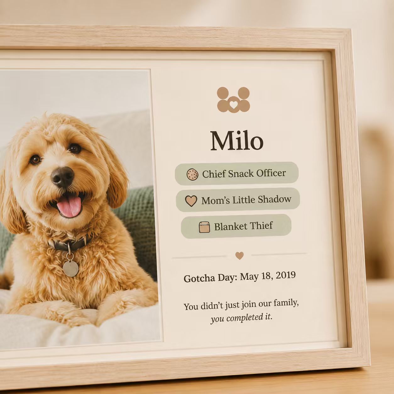 Pawkinly recommended photo guide showing good pet photo examples